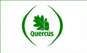 QUERCUS LAMENTA “TOTAL LAXISMO” DAS AUTORIDADES EM POLÍTICA FLORESTAL