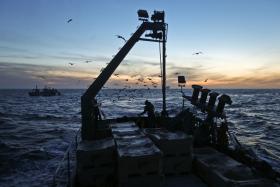 REDUÇÃO DA QUANTIDADE DE PEIXE CAPTURADO REFLETE “ESTADO DOS RECURSOS” – GOVERNO