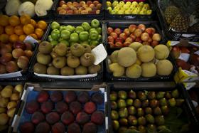 BRUXELAS PROLONGA AJUDA A PRODUTORES DE FRUTA PARA ENFRENTAREM EMBARGO RUSSO