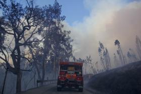 INCÊNDIO COLOCA HABITAÇÕES EM RISCO EM PEDRÓGÃO GRANDE