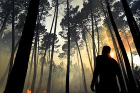 MAIS DE 2.000 BOMBEIROS COMBATIAM 147 INCÊNDIOS ÀS 11:00