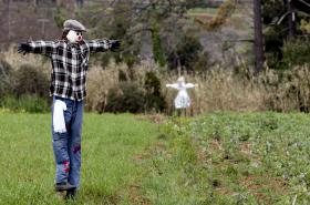 GOVERNO ANUNCIA ATRIBUIÇÃO DE 35 MILHÕES DE EUROS A 139 PROJETOS DE JOVENS AGRICULTORES