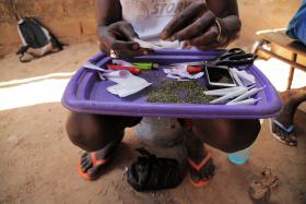 CONSUMO DE DROGA ENTRE JOVENS GUINEENSES É PREOCUPANTE – OBSERVATÓRIO