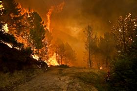 ONZE CONCELHOS DE QUATRO DISTRITOS EM RISCO ‘MÁXIMO’ DE INCÊNDIO