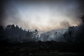 INCÊNDIO NO SUL DE ESPANHA CORTA VÁRIAS ESTRADAS E ISOLA 50.000 PESSOAS