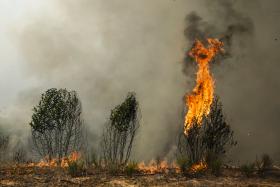 INCÊNDIO NO CONCELHO DE MÊDA, GUARDA, DOMINADO PELOS BOMBEIROS