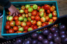 ALUNOS DO PORTO CRIAM APLICAÇÃO QUE AJUDA PESSOAS COM RESTRIÇÕES ALIMENTARES