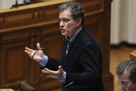 BE ANUNCIA ACORDO COM GOVERNO PARA CONTENÇÃO DO EUCALIPTO E ARRENDAMENTO COMPULSIVO