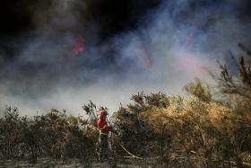INCÊNDIO: 76 OPERACIONAIS E UM KAMOV COMBATEM CHAMAS EM GRÂNDOLA