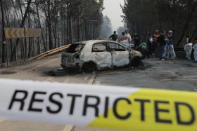 ASSOCIAÇÃO PELO INVESTIMENTO FLORESTAL QUESTIONA SE “VAI FICAR TUDO NA MESMA”