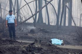 SINDICATO DOS JORNALISTAS APELA PARA COBERTURA SÓBRIA DOS INCÊNDIOS
