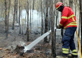 REACENDIMENTO EM S. MIGUEL DE RIO TORTO (ABRANTES) OBRIGA A REFORÇO DE MEIOS