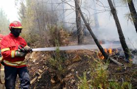 GNR DETEVE SUSPEITO DE ATEAR FOGO EM TABUAÇO