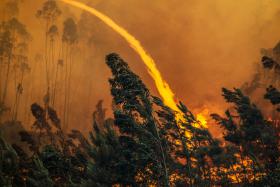 INCÊNDIO ALASTROU PARA A SERTÃ, ENTRANDO NO DISTRITO DE CASTELO BRANCO – MAI