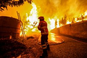 INCÊNDIOS: COMISSÃO TERÁ 6 ESPECIALISTAS INDICADOS POR FERRO E 6 POR REITORES