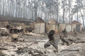FOGO EM PEDRÓGÃO GRANDE DESTRUIU 20 CASAS E AFETOU 100 POSTOS DE TRABALHO, DADOS PROVISÓRIOS