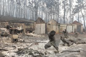 GOVERNO CRIA FUNDO FINANCEIRO PARA APOIAR RECONSTRUÇÃO E VIDA DAS PESSOAS EM PEDRÓGÃO GRANDE