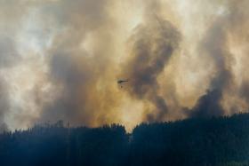 INCÊNDIOS: FOTO DE SATÉLITE DA NASA MOSTRA FOGOS NA REGIÃO CENTRO