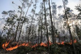 GNR REGISTA MAIS DE 650 MULTAS RELACIONADAS COM INCÊNDIOS ESTE ANO
