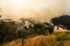 (Darryl Dyck/Canadian Press)