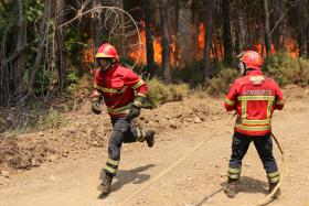 FOGO DE PEDRÓGÃO GRANDE OBRIGOU À EVACUAÇÃO DE TREZE ALDEIAS