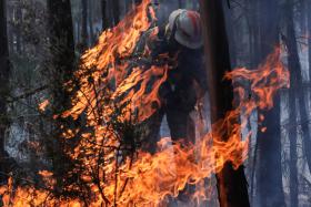 FOTOJORNALISTAS ORGANIZAM INICIATIVA CUJOS LUCROS REVERTEM PARA OS BOMBEIROS
