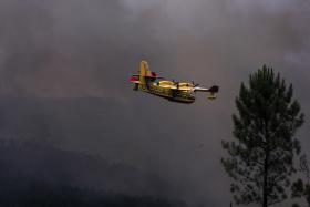 AVIÃO CANADAIR DESPENHOU-SE NO COMBATE ÀS CHAMAS EM PEDRÓGÃO GRANDE
