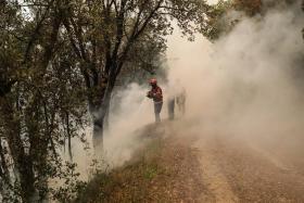 JÁ NÃO HÁ CHAMAS NO PERÍMETRO CONTROLADO PELOS BOMBEIROS EM GÓIS