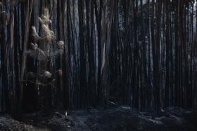 INCÊNDIOS: COSTA REÚNE-SE EM PEDROGÃO GRANDE COM AUTARCAS DAS ZONAS ATINGIDAS
