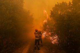 INCÊNDIO EM GÓIS SERÁ DOMINADO DURANTE A MADRUGADA – PROTECÇÃO CIVIL