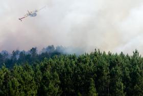 MUNICÍPIOS EXIGEM FUNDO DE EMERGÊNCIA PARA ZONAS AFETADAS PELOS INCÊNDIOS