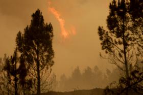 DISTRITAL DO PS PEDE DEMISSÃO DO PROVEDOR DA SANTA CASA DE PEDRÓGÃO GRANDE