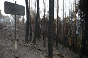 INCÊNDIO DE GÓIS EM FASE DE RESCALDO; DESMOBILIZAÇÃO DE 30 A 40% DO EFETIVO AINDA ESTA NOITE