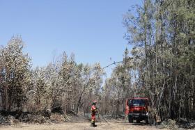 QUASE 53 MIL HECTARES ARDERAM NA REGIÃO CENTRO – DADOS PROVISÓRIOS