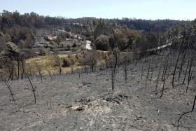 PEDRÓGÃO GRANDE: INCÊNDIO DADO COMO EXTINTO DURANTE A TARDE – PROTEÇÃO CIVIL