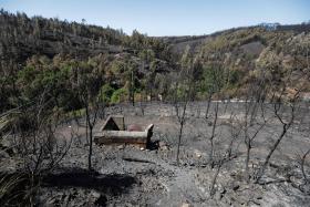 MEDIDAS DO MINISTÉRIO DA AGRICULTURA SÃO “INSUFICIENTES E IMPIEDOSAS” – CNA