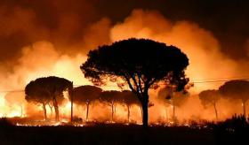 INCÊNDIO NO SUL DE ESPANHA LEVOU À RETIRADA DE 2.000 PESSOAS – GOVERNO