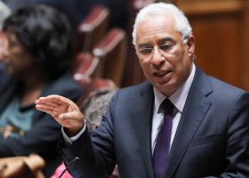 ANTÓNIO COSTA QUER CONSENSO PARA IMPOR REORDENAMENTO FLORESTAL E TRAVAR EUCALIPTO