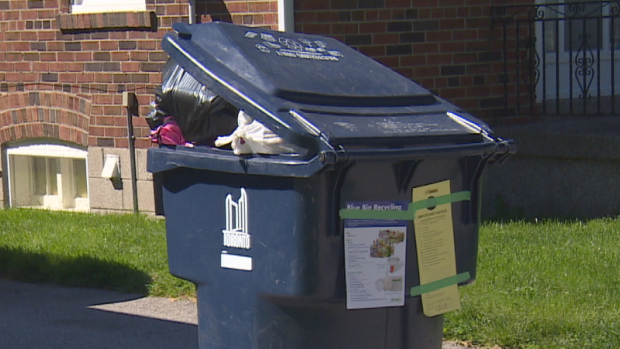 (Nicole Martin/CBC News)