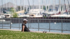 TORONTO PROVAVELMENTE VAI REGISTAR UM VERÃO MAIS FRIO DO QUE EM 2016
