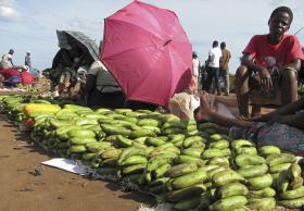 AUMENTO DA FOME E FALTA DE CHUVA COLOCA EM ESTADO DE ALERTA ÁFRICA ORIENTAL — ONU