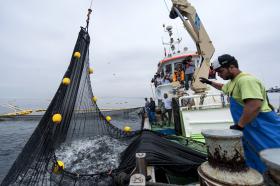 GOVERNO GUINEENSE CONFIRMA DESACORDO COM UNIÃO EUROPEIA NO DOMÍNIO DAS PESCAS