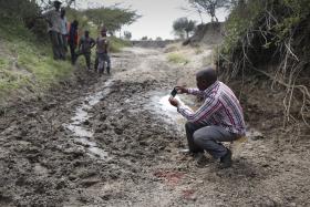 QUATRO LEÕES FUGIRAM DO PARQUE KRUGER, NA ÁFRICA DO SUL