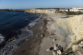 TURISMO DO NORTE DEFENDE CRIAÇÃO DE PRAIAS NATURISTAS E NEGA DESTINO “CONSERVADOR”