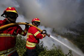 DOMINADOS DOIS DOS TRÊS FOGOS QUE DEFLAGRARAM NO DOMINGO EM MANGUALDE