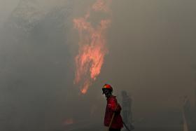 MAIS DE 500 OPERACIONAIS COMBATEM FOGO DE PENACOVA