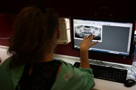 DENTISTAS PORTUGUESES QUE EMIGRARAM E NÃO REGRESSARAM QUASE DUPLICAM EM DEZ ANOS