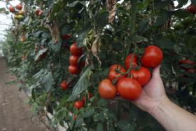 UE E BRASIL PROPÕEM LIMITES NAS AJUDAS ÀS EXPORTAÇÕES AGRÍCOLAS
