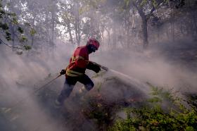 MAIS DE 70 BOMBEIROS COMBATEM FOGO EM SETÚBAL