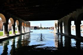 DEL TORO, CLOONEY E AI WEIWEI NA COMPETIÇÃO DO FESTIVAL DE CINEMA DE VENEZA